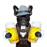 Hund mit Lederhose und 2 Maß Bier